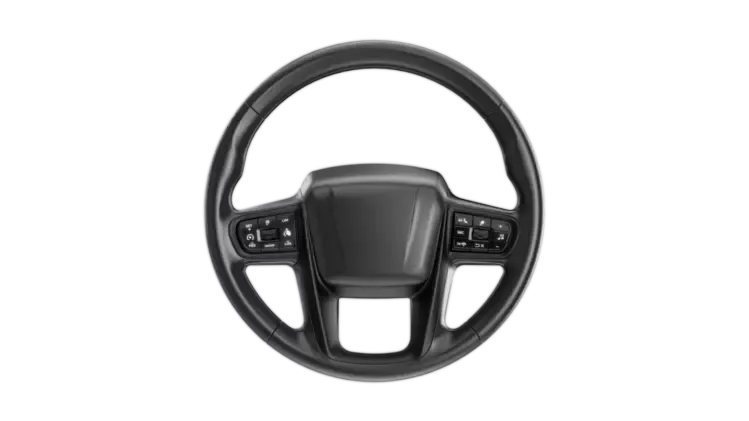 HODsteeringwheel_72412.webp